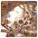 Deniselaw's picture Deniselaw's picture