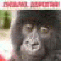 RichardGeorm's picture RichardGeorm's picture