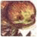 TermDep's picture TermDep's picture