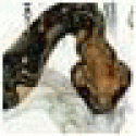 BrandonDD's picture BrandonDD's picture