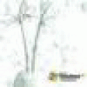 TBErin's picture TBErin's picture