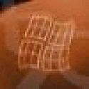 Stevemiz's picture Stevemiz's picture