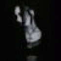 Tylernors's picture Tylernors's picture