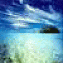 Ramonlorce's picture Ramonlorce's picture