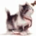 Mannigsnic's picture Mannigsnic's picture