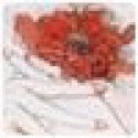 Williamguath's picture Williamguath's picture